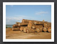 Owedo : port à bois