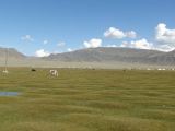 Mongolie2005 - 39.jpg